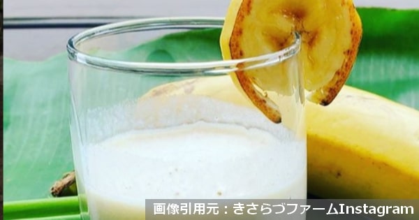 きみさらずバナナ国産アレンジレシピ