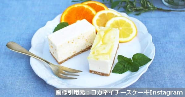 コガネイチーズケーキ賞味期限
