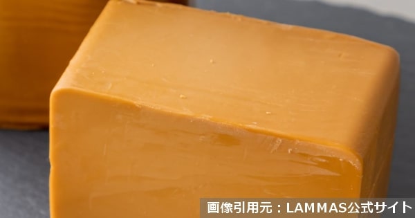 ランマスブラウンチーズ