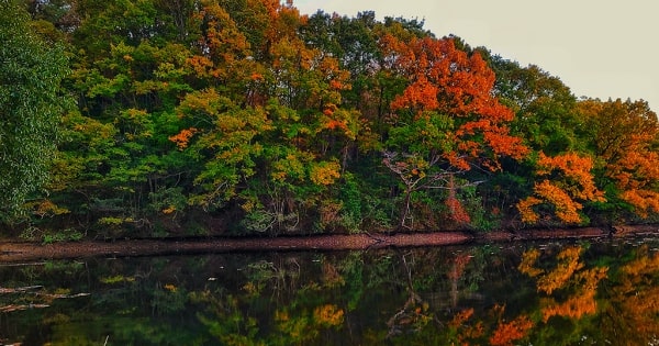 紅葉と湖