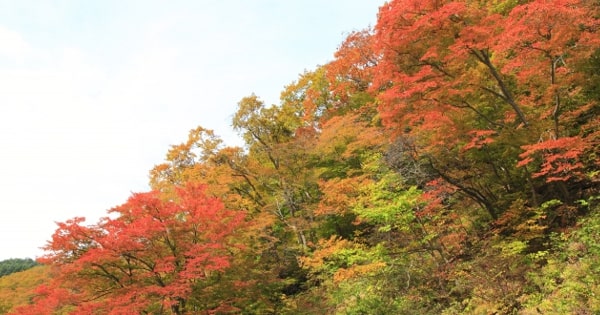 高橋一喜おすすめの関東で11月に紅葉が美しい温泉5選